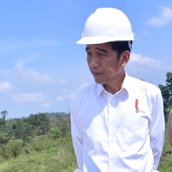 Jokowi & Soeharto, 2 Presiden RI yang Dapat Penghargaan Tertinggi FAO
