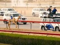 VIDEO: Warna-warni Tradisi Dubai