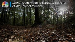 Hampir 1 Juta Ha Lahan Hutan Produksi Dibagi ke Masyarakat