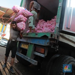 34 Kontainer Bawang Putih Impor China Masuk Priok