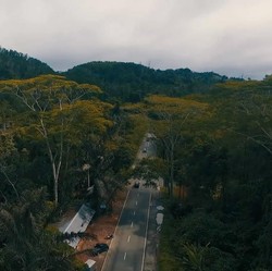 Disebut Calon Ibu Kota Baru, Ini Penampakan Bukit Soeharto