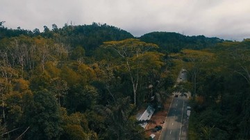 Disebut Calon Ibu Kota Baru Ini Penampakan Bukit Soeharto