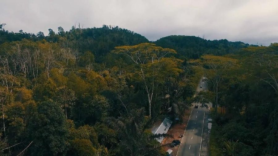 Di Kaltim, Jokowi berkunjung ke Bukit Soeharto, Kabupaten Kutai Kartanegara.