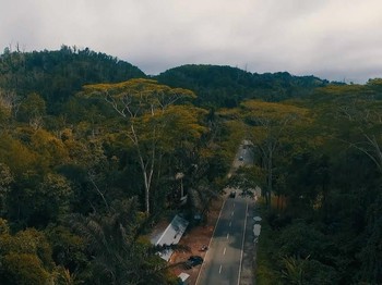 Disebut Calon Ibu Kota Baru, Ini Penampakan Bukit Soeharto