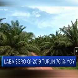 Sampoerna Agro Bagi Dividen, Catat Tanggalnya