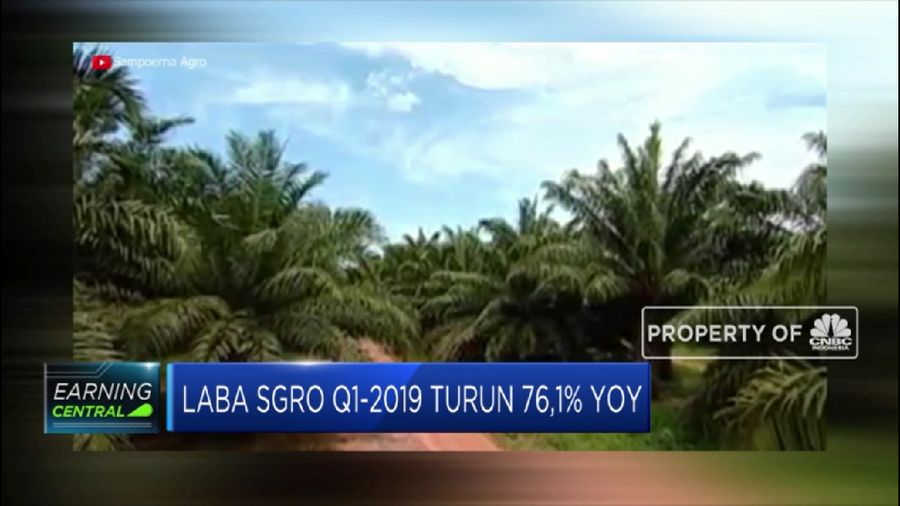 Pendapatan Sampoerna Agro Naik 13,42% (CNBC Indonesia TV)