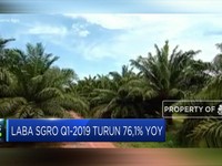 Pendapatan Sampoerna Agro Naik 13,42%