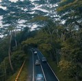 Apa Respons Pengembang Australia Soal RI Pindah Ibu Kota?
