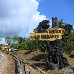 Ini Kondisi Sebenarnya Bukit Soeharto Calon Ibu Kota RI