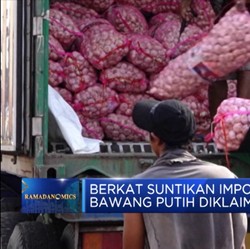 100 Ribu Ton Bawang Putih Impor Siap Disalurkan