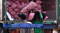100 Ribu Ton Bawang Putih Impor Siap Disalurkan