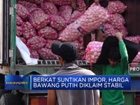 100 Ribu Ton Bawang Putih Impor Siap Disalurkan