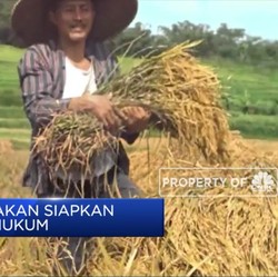 Anak Usaha & 3 Cucu Usaha TPS Food Dinyatakan Pailit