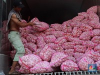 Harga Tak Turun-Turun, Ribuan Ton Bawang Putih Impor Masuk RI