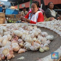 Tiba-tiba KPPU Desak Impor Bawang Putih Dilelang, Ada Apa?