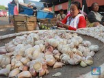 115 Ribu Ton Bawang Putih Impor Masuk, Kok Harga Masih Mahal?