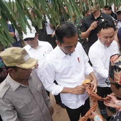 Jokowi Akui Ibu Kota Baru di Kalimantan, Tapi Bagian Mana?