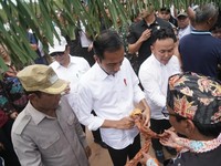 Jokowi Tegaskan Lagi: Ibu Kota Pindah ke Kalimantan!