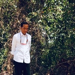 Pindahkan Ibu Kota, RI Mau 'Contek' Brasil?