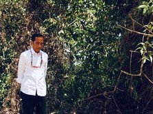 Pilih Pindah Ibu Kota ke Kalimantan atau Investasi SDM?