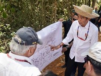 Ibu Kota Pindah, Tanah di Kalimantan 'Naik Setiap Senin'