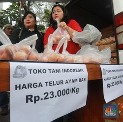 Ultimatum Mentan: Harga Telur Ayam Ras Maksimal Rp 23 Ribu/Kg