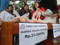 Ultimatum Mentan: Harga Telur Ayam Ras Maksimal Rp 23 Ribu/Kg