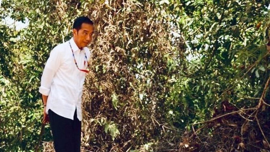 Pedagang kavling hingga lahan di toko daring 'menjual' perpindahan ibu kota.
