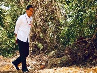 Ibu Kota Pindah, Tanah Kalimantan 'Digoreng' di Toko Online