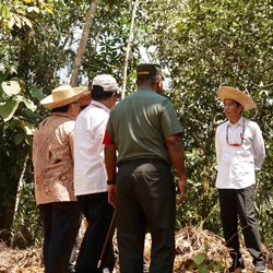 Bukit Soeharto Ditawarkan Buat Ibu Kota, Mau Pak Jokowi?