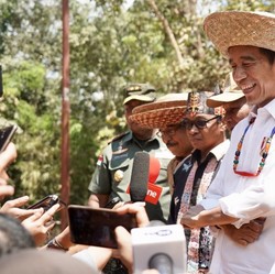 Ibu Kota RI di Gunung Mas, Kalimantan Tengah, Pak Jokowi?