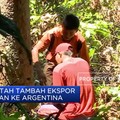 Pemerintah Tambah Ekspor Pertanian ke Argentina