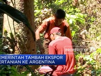 Pemerintah Tambah Ekspor Pertanian ke Argentina