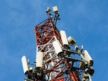 Laba Bersih Tower Bersama (TBIG) Rp 826 M, Tumbuh 25%