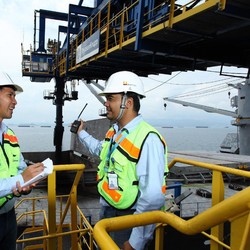 Laba Tembus Rp 5 T, Bukit Asam Tebar Dividen Rp 339/Saham