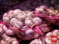 Corona, Kementan Alihkan Impor Bawang Putih China ke India