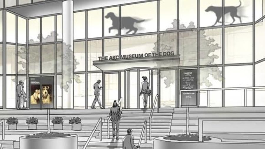Tahun 2019 adalah tahun untuk mereka para pecinta museum dan sejarah, karena akan banyak sekali museum sejarah di dunia yang akan dibuka pada tahun ini.