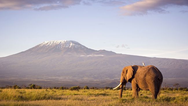 Kereta Gantung Bakal Beroperasi di Gunung Kilimanjaro