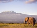 Kisah Bocah Indonesia Taklukkan Gunung Tertinggi di Afrika
