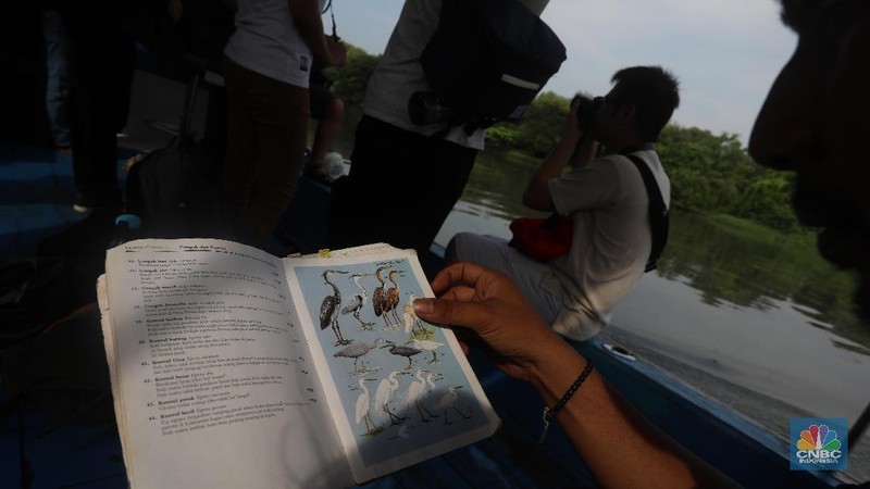 Hari Migrasi Burung Sedunia dimulai pada tahun 2006 yang merupakan kampanye peningkatan kesadaran untuk konservasi burung migran dan habitatnya.