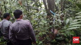Petugas KPPS Tewas Membusuk di Hutan Usai Hilang 5 Hari
