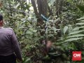 Petugas KPPS Tewas Membusuk di Hutan Usai Hilang 5 Hari