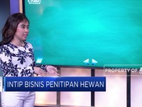 Intip Modal Bisnis Penitipan Hewan Peliharaan