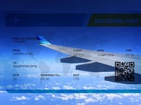 Darmin Sebut Tiket Pesawat Mahal Ganggu Pertumbuhan Ekonomi