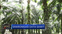 Kementan Segera Sinkronisasi Data Sawit