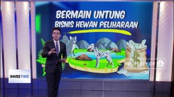 Untung Bisnis Hewan Peliharaan