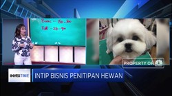 Punya Hewan Peliharaan? Ini Tarif Perawatan dan Penitipannya
