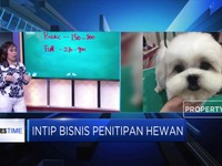 Punya Hewan Peliharaan? Ini Tarif Perawatan dan Penitipannya