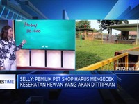 Meski Untung, Sadari Risiko Bisnis Pet Shop