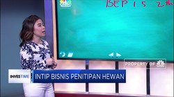Intip Margin Bisnis Petshop